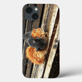 Catnapかわいこちゃん Case-Mate iPhoneケース (裏面)