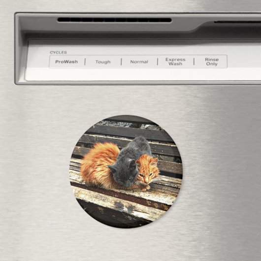 Catnap Cuties マグネット (インサイチュ (食洗機))