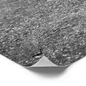 Catnipと言う： 1936 ポスター (角)