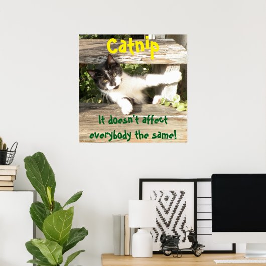 "Catnip", cats, funny, humor, cute, gift  ポスター (ホームオフィス)