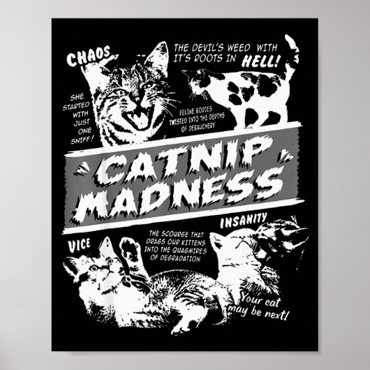 Catnip Madness Cute Kitten Funny Cat Pet Humor  ポスター (正面)