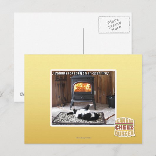 Catnutsの焙焼 ポストカード (正面/裏面)