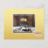 Catnutsの焙焼 ポストカード (正面)