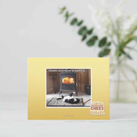 Catnutsの焙焼 ポストカード (スタンド正面)