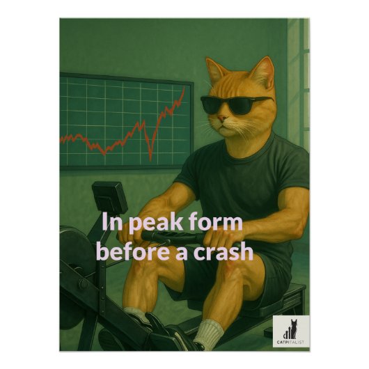 Catpitalist:Peak Performance Investor ポスター (正面)