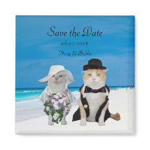 Catsおもしろいビーチ結婚式Save the Date