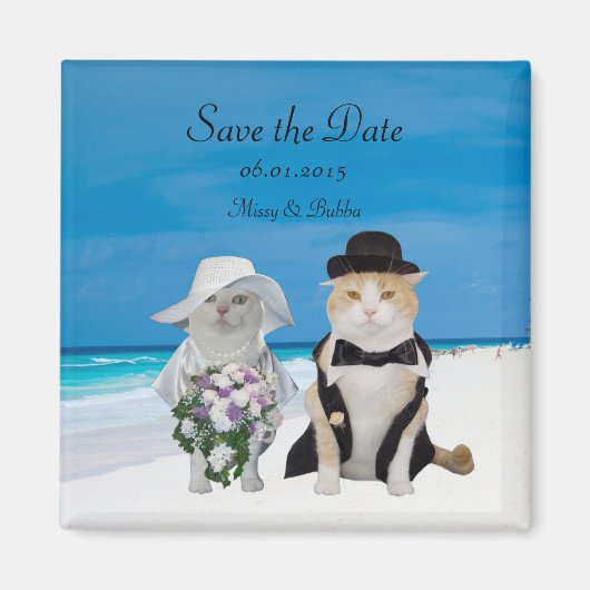 Catsおもしろいビーチ結婚式Save the Date マグネット (正面)