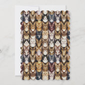 Catsテクスチャ 招待状 (裏面)