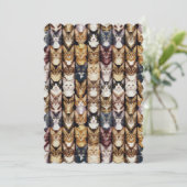 Catsテクスチャ 招待状 (スタンド正面)