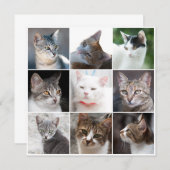 CATSテンプレート-写真の変更 (正面/裏面)