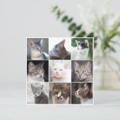 CATSテンプレート-写真の変更 (スタンド正面)