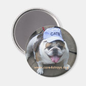CATSマグネット： マグネット (正面/裏面)