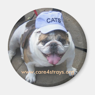 CATSマグネット： マグネット