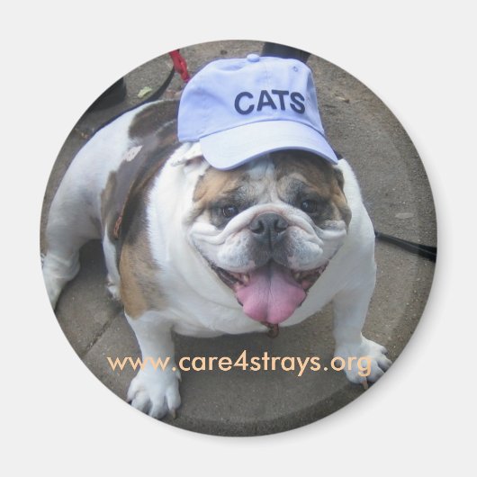 CATSマグネット： マグネット (正面)