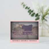 Catsルールポストカード ポストカード (スタンド正面)