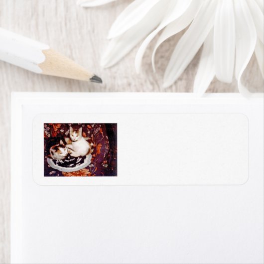 Cats戻りラベル ラベル (インサイチュ)