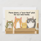 Cats おもしろい New Home Movingのお知らせ (正面)