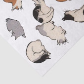 Cats (日本の背景色の変更) 薄葉紙 (詳細)