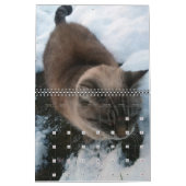 Cats 2022カレンダーパーソナライズされた カレンダー (1月 2027)