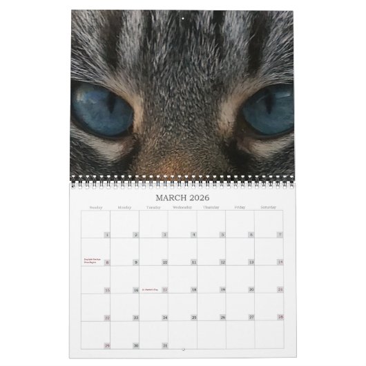 Cats 2022カレンダーパーソナライズされた カレンダー (3月 2026)