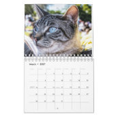 Cats 2023の熱狂するカレンダーについて カレンダー (3月 2027)