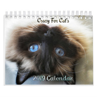 Cats 2023の熱狂するカレンダーについて カレンダー