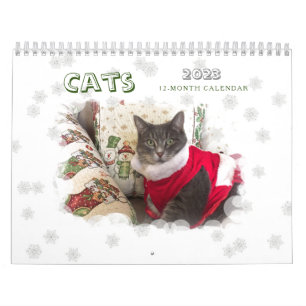 Cats 2023カレンダー カレンダー