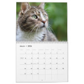 Cats 2026 Calendar カレンダー (3月 2026)