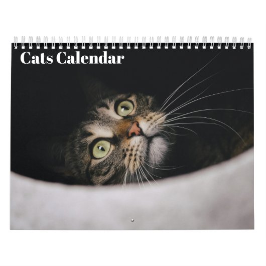 Cats 2026 Calendar カレンダー (カバー)