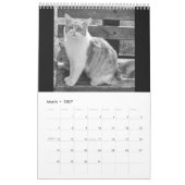 Cats and kitten カレンダー (3月 2027)