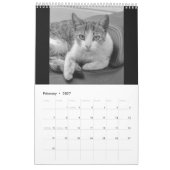 Cats and kitten カレンダー (2月 2027)