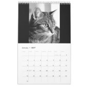 Cats and kitten カレンダー (1月 2027)
