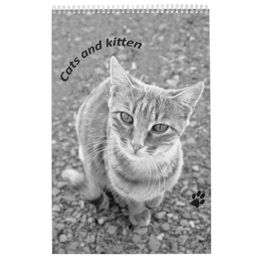 Cats and kitten カレンダー (カバー)