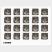 cats_and_snow15雪ペット動物が猫を祭る スクエアシール (シート)