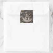 cats_and_snow15雪ペット動物が猫を祭る スクエアシール (バッグ)