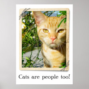 Cats Are People Too Poster! ポスター