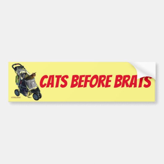 Cats Before Brats Bumper Sticker バンパーステッカー (正面)
