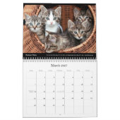 Cats Business Company Wall 企業の Calendar 2024 カレンダー (3月 2027)