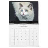 Cats Business Company Wall 企業の Calendar 2024 カレンダー (2月 2027)