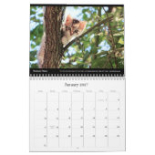 Cats Business Company Wall 企業の Calendar 2024 カレンダー (1月 2027)