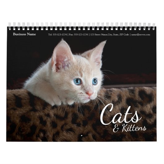 Cats Business Company Wall 企業の Calendar 2024 カレンダー (カバー)