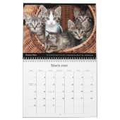 Cats Business Company Wall 企業の Calendar 2024 カレンダー (3月 2026)