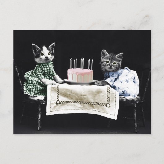 Cats celebrating a birthday with cake and candles ポストカード (正面)