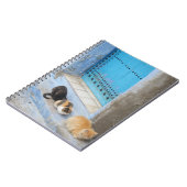 Cats, Chefchaouen,モロッコ ノートブック (左側)