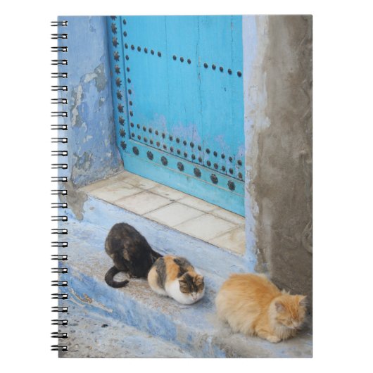 Cats, Chefchaouen,モロッコ ノートブック (正面)