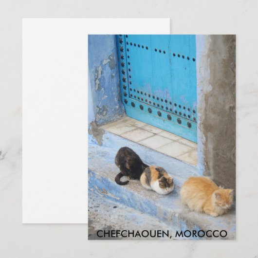 Cats, Chefchaouen, Moroccoカード (正面/裏面)