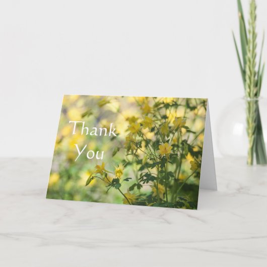 Cats-Claw Thankありがとう サンキューカード (正面)