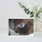 Cat's Eye.JPG ポストカード (スタンド正面)