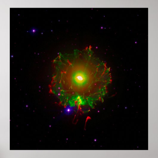 Cat's Eye NebulaまたはNGC 6543カラーコンポジットZGOA ポスター (正面)