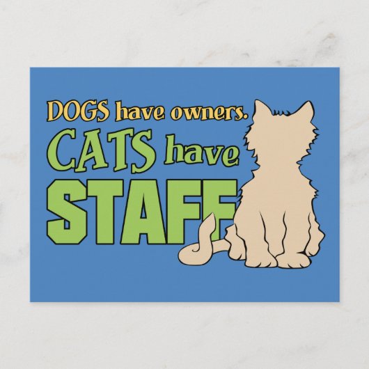 CATS HAVE STAFFはがき ポストカード (正面)
